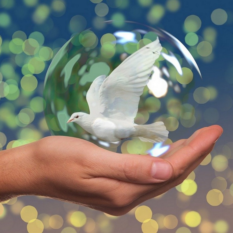 Конкурс «Мы против терроризма и экстремизма»