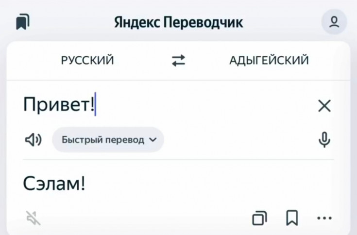 Адыгейский язык вошёл в сервис «Яндекс Переводчик» благодаря данным, собранным специалистами Адыгейского государственного университета